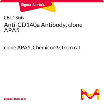 Anti-CD140a Antibody, clone APA5 clone APA5, Chemicon&#174;, from rat