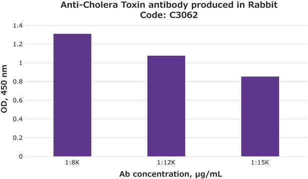 Anti-Cholera Toxin antibody produced in rabbit whole antiserum