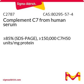 Complement C7 from human serum &#8805;85% (SDS-PAGE), &#8805;150,000&#160;C7H50 units/mg protein