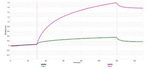Anti-Aromatase Antibody, clone 1D23 ZooMAb&#174; Rabbit Monoclonal recombinant, expressed in HEK 293 cells