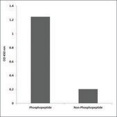 Anti-phospho-Akt (pSer124) antibody produced in rabbit affinity isolated antibody