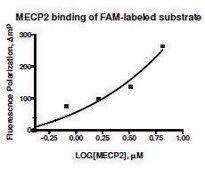 MECP2 human recombinant, expressed in E. coli, &#8805;70% (SDS-PAGE)