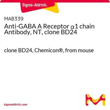 Anti-GABA A Receptor &#945;1 chain Antibody, NT, clone BD24 clone BD24, Chemicon&#174;, from mouse