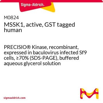 MSSK1, active, GST tagged human PRECISIO&#174; Kinase, recombinant, expressed in baculovirus infected Sf9 cells, &#8805;70% (SDS-PAGE), buffered aqueous glycerol solution