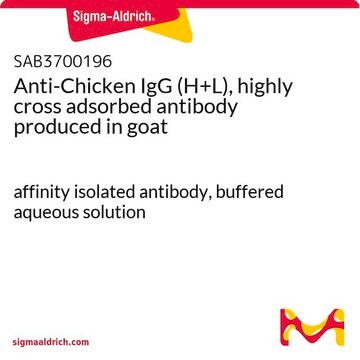 Anti-Chicken IgG (H+L), highly cross adsorbed antibody produced in goat affinity isolated antibody, buffered aqueous solution