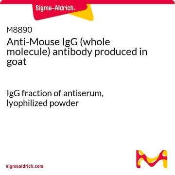 Anti-Mouse IgG (whole molecule) antibody produced in goat IgG fraction of antiserum, lyophilized powder