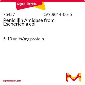 Penicillin Amidase from Escherichia coli 5-10&#160;units/mg protein