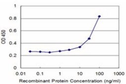 Monoclonal Anti-LCK, (N-terminal) antibody produced in mouse clone 3H5, purified immunoglobulin, buffered aqueous solution
