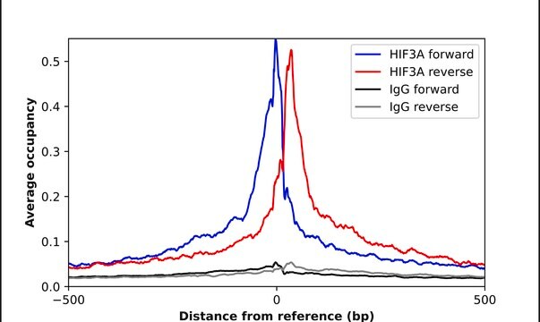 Anti-HIF3A antibody produced in rabbit Prestige Antibodies&#174; Powered by Atlas Antibodies, affinity isolated antibody, buffered aqueous glycerol solution