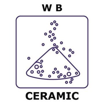 Tungsten boride powder, 45 max. part. size (micron), weight 100&#160;g, purity 99%