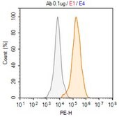 Anti-CD1a Antibody, clone 3J8 ZooMAb&#174; Rabbit Monoclonal recombinant, expressed in HEK 293 cells