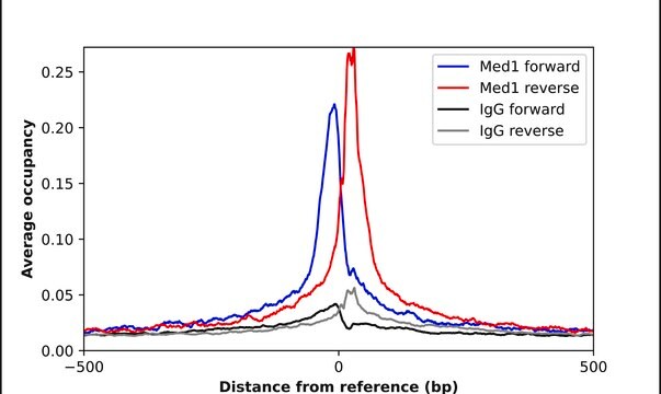 Anti-MED1 antibody produced in rabbit Prestige Antibodies&#174; Powered by Atlas Antibodies, affinity isolated antibody