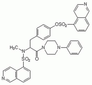 KN-62 A cell-permeable, reversible, and selective inhibitor of CaM kinase II (Ki = 900 nM for rat brain CaM kinase II) that binds directly to the calmodulin binding site of the enzyme.