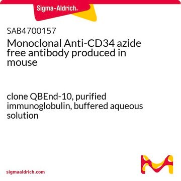 Monoclonal Anti-CD34 azide free antibody produced in mouse clone QBEnd-10, purified immunoglobulin, buffered aqueous solution