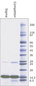 Cytochrome c from equine heart BioUltra, &#8805;99% (SDS-PAGE), powder, suitable for mammalian cell culture