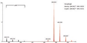 SILu&#8482;Prot IL6 Interleukin 6 human recombinant, expressed in HEK 293 cells, SIL MS Protein Standard, 13C- and 15N-labeled