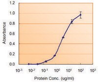 Anti-NANOG, C-Terminal antibody produced in goat affinity isolated antibody, buffered aqueous solution