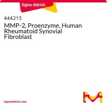 MMP-2, Proenzyme, Human Rheumatoid Synovial Fibroblast