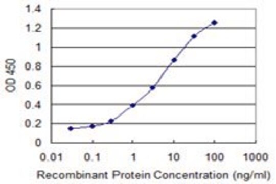 ANTI-SUPT16H antibody produced in mouse clone 1F1, purified immunoglobulin, buffered aqueous solution