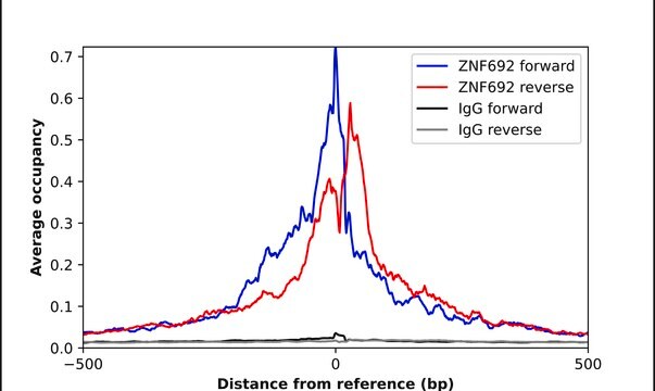 Anti-ZNF692 antibody produced in rabbit Prestige Antibodies&#174; Powered by Atlas Antibodies, affinity isolated antibody