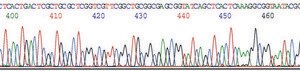 GenElute&#8482; Plasmid Miniprep Kit sufficient for 70&#160;purifications
