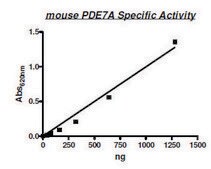 PDE7A active mouse recombinant, expressed in baculovirus infected Sf9 cells, &#8805;22% (SDS-PAGE)