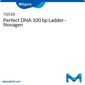 Perfect DNA 100 bp Ladder - Novagen