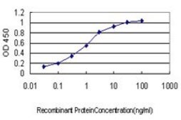 Monoclonal Anti-TRPV1 antibody produced in mouse clone 1F5, purified immunoglobulin, buffered aqueous solution