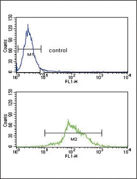 [KO Validated]Anti-HADHA antibody produced in rabbit [Knockout Validated],affinity isolated antibody, buffered aqueous solution