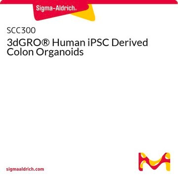 3dGRO&#174; Human iPSC Derived Colon Organoids