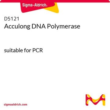 Acculong DNA Polymerase suitable for PCR