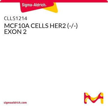 MCF10A CELLS HER2 (-/-) EXON 2