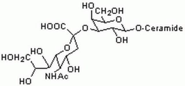 Ganglioside GM4, Monosialo, Human Brain Gangliosides are highly purified sialic acid-containing glycolipids that are useful as markers of various cell types and antigens.