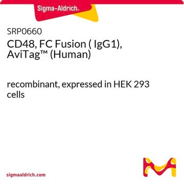 CD48, FC Fusion ( IgG1), AviTag&#8482; (Human) recombinant, expressed in HEK 293 cells