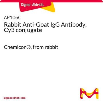 Rabbit Anti-Goat IgG Antibody, Cy3 conjugate Chemicon&#174;, from rabbit