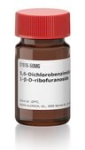 5,6-Dichlorobenzimidazole 1-&#946;-D-ribofuranoside