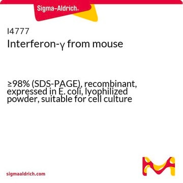 Interferon-&#947; from mouse &#8805;98% (SDS-PAGE), recombinant, expressed in E. coli, lyophilized powder, suitable for cell culture