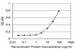 Monoclonal Anti-GCM1 antibody produced in mouse clone 3D2, purified immunoglobulin, buffered aqueous solution