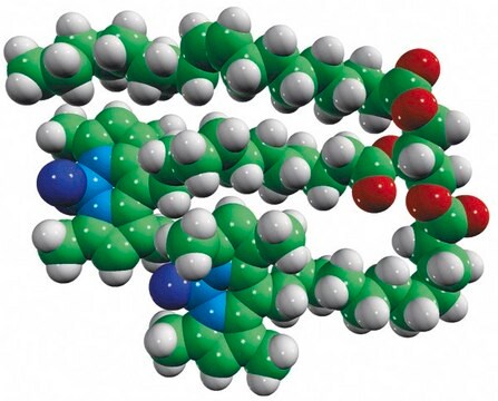 18:1-C11 TopFluor&#8482;-C11 TopFluor&#8482; TG Avanti Research&#8482; - A Croda Brand 810271P, powder