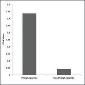 Anti-phospho-PKC &#948; (pTyr52) antibody produced in rabbit affinity isolated antibody