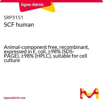 SCF human Animal-component free, recombinant, expressed in E. coli, &#8805;98% (SDS-PAGE), &#8805;98% (HPLC), suitable for cell culture