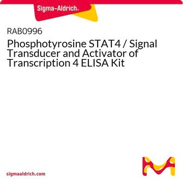 Phosphotyrosine STAT4 / Signal Transducer and Activator of Transcription 4 ELISA Kit