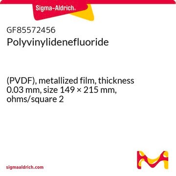 Polyvinylidenefluoride (PVDF), metallized film, thickness 0.03&#160;mm, size 149 × 215&#160;mm, ohms/square 2