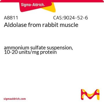 Aldolase from rabbit muscle ammonium sulfate suspension, 10-20&#160;units/mg protein