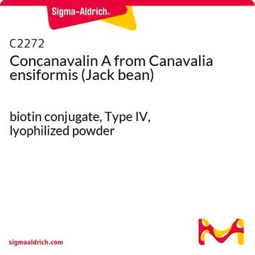 Concanavalin A from Canavalia ensiformis (Jack bean) biotin conjugate, Type IV, lyophilized powder