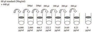 Porcine IL-1 &#946; / IL-1F2 ELISA Kit for serum, plasma and cell culture supernatant