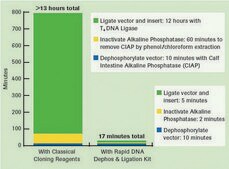 Rapid DNA Dephos &amp; Ligation Kit sufficient for 40&#160;reactions (04898117001), sufficient for 160&#160;reactions (04898125001), optimum reaction temp. 37 °C