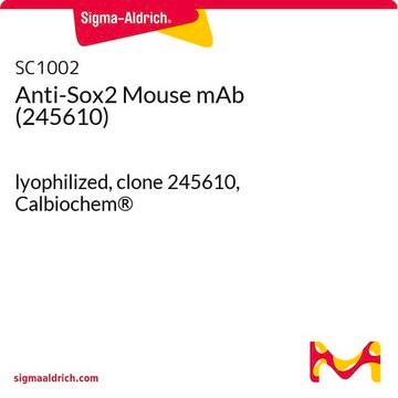 Anti-Sox2 Mouse mAb (245610) lyophilized, clone 245610, Calbiochem&#174;