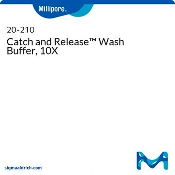 Catch and Release Wash Buffer, 10X