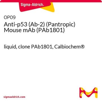 Anti-p53 (Ab-2) (Pantropic) Mouse mAb (PAb1801) liquid, clone PAb1801, Calbiochem&#174;